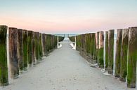 Strandpalen tijdens zonsopkomst by Evert Jan Kip thumbnail