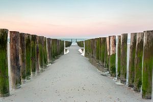 Strandpalen tijdens zonsopkomst