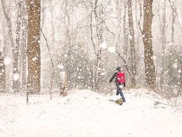 Man met rode rugtas in de sneeuw van Herman Heus