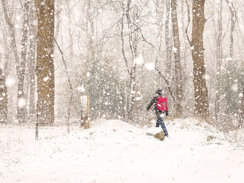 Mann mit rotem Rucksack im Schnee von Herman Heus