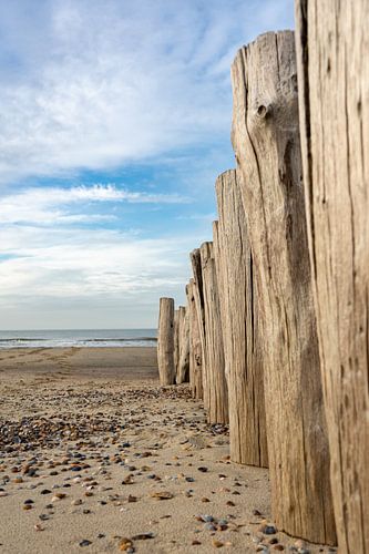 Seascape with breakwater
