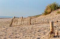 Plage avec clôtures