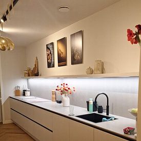 Customer photo: Dazzling cocktail 11343582 by BeeldigBeeld Food & Lifestyle