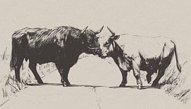 Two highland cows are frolicking by Emiel de Lange