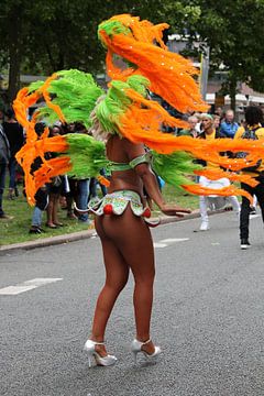 Carnaval Rotterdam van Tatjana Korneeva