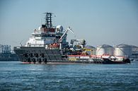 Schlepper im Hafen von Rotterdam im Calland-Kanal. von scheepskijkerhavenfotografie Miniaturansicht