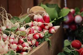 Radishes at the food market in South Africa by Photo by Cities