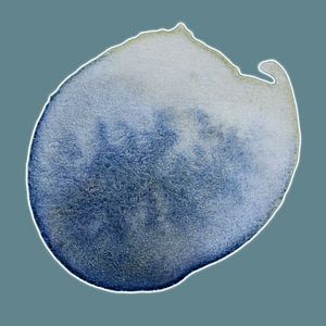 Soft Tide Aqua Mineral 965 - Rustige Abstracte Aquarel in Koelblauwe Tinten