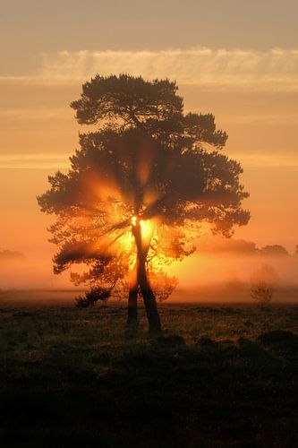 Adembenemende zonsopkomst op een mooie zomerse dag