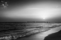 Gasparilla Island Sunset | Monochrome by Melanie Viola thumbnail