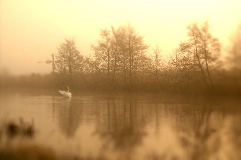 De Weerribben in de mist von Frouwkje Fotografie