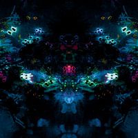 Night Zoo