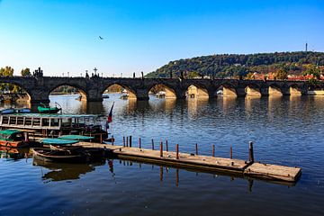 De Karelsbrug in Praag van resuimages