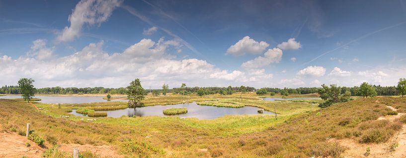 Panorama photo Hatertse et Overasseltse des lacs par Jan Koppelaar
