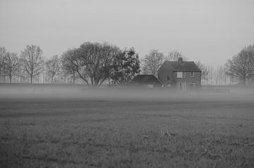 Huis in de mist van Niek Traas