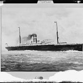 Holland-America Line