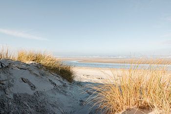 Blick durch Strandhafer auf das Meer und die Sandbank