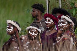 Beobachtung des Baliem-Festivals im Hochland von Papua von Anges van der Logt