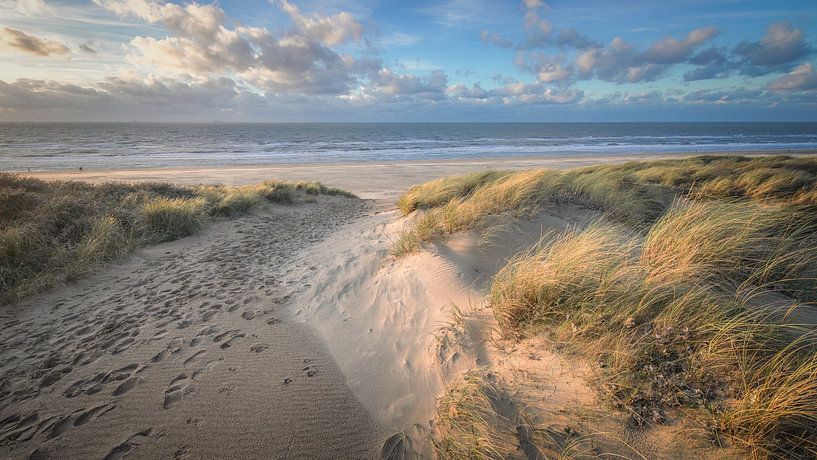 Dunes, beach and sea on the Dutch coast by Dirk van Egmond