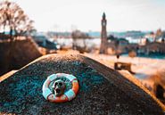 Hamburg - Harbour bollards by Das-Hamburg-Foto thumbnail