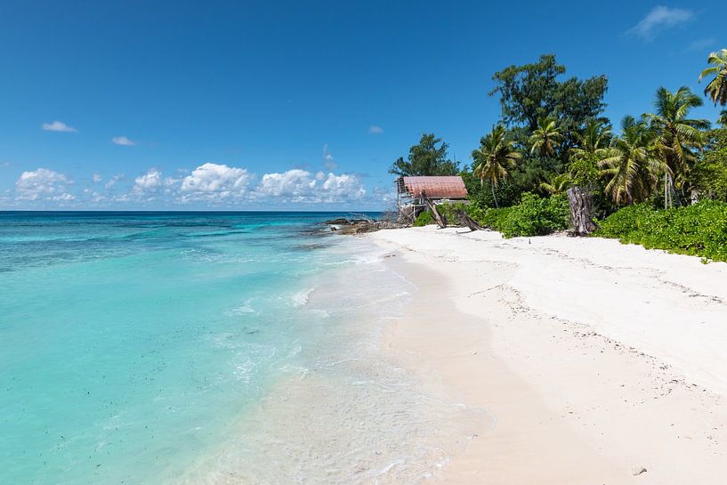 Verlaten Paradijs, Remire, Seychellen van Nancy Pauwels Photo