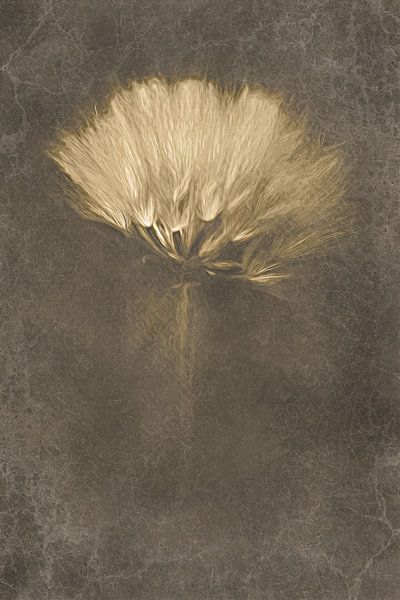 Mysterious Days by Cicek Kiral