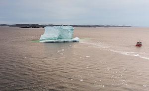 Iceberg Terre-Neuve