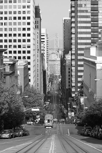 San Francisco zwart/wit