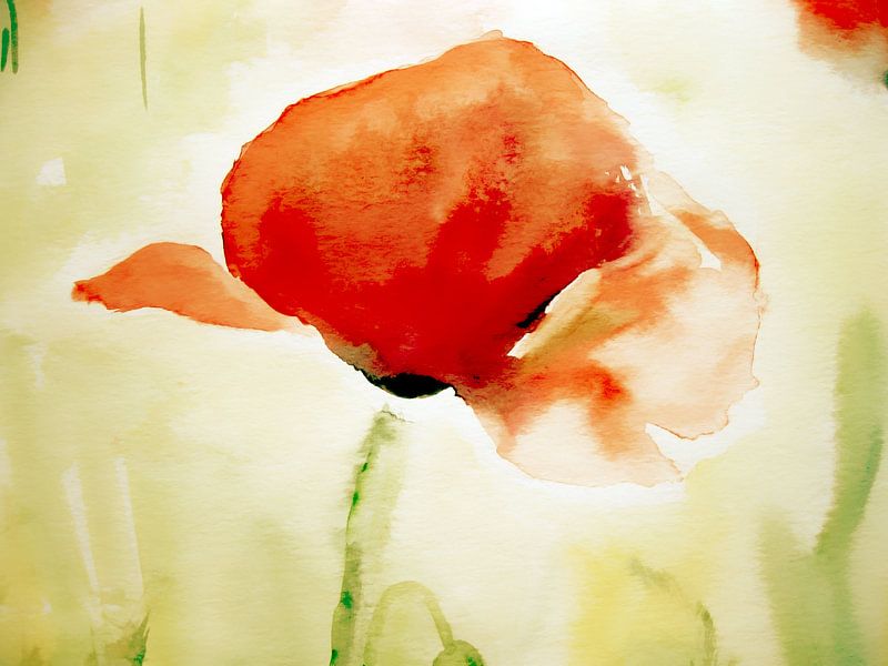 poppy by M.A. Ziehr