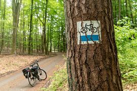 Blue Velo Route Poland by Richard Wareham