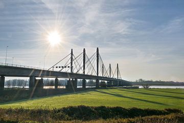 Tacitusbrücke, Waalbrücke bei Ewijk von Patrick Verhoef