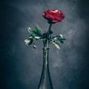 Boterbloem
