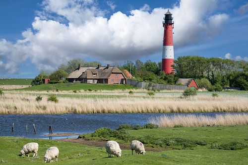Leuchtturm, Pellworm, Nordfriesland, Deutschland