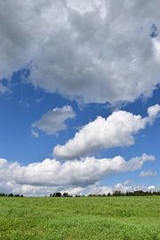 Ein Feld im Sommer unter blauem Himmel von Claude Laprise