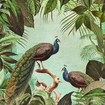 Pauw in tropisch paradijs