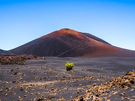 Zwart zand van Stijn Cleynhens