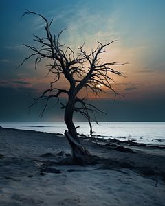 Baum bei Vollmond