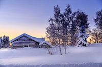 Winterwonderland