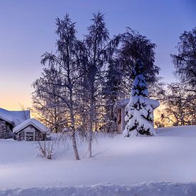 Winterwunderland von Robert Riewald