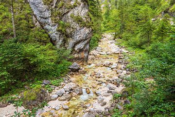 De Almbachkloof in het Berchtesgadener Land