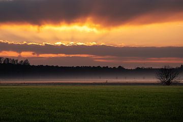 Zonsondergang in het Noord-Brabantse landschap. van Magalie Sebregts