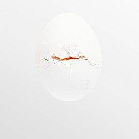 Egg-wise by De Vormsmederij