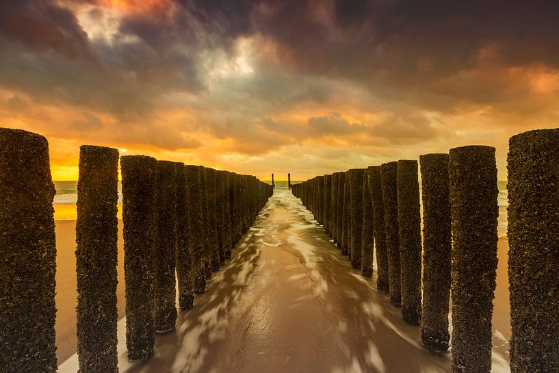 Dutch clouds and typical breakwater of wooden poles along the coast of Zeeland by gaps photography