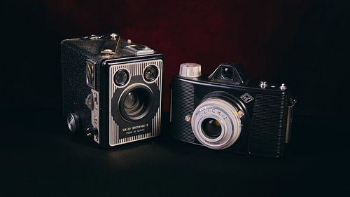 Nature morte sur Wilfried Roovers