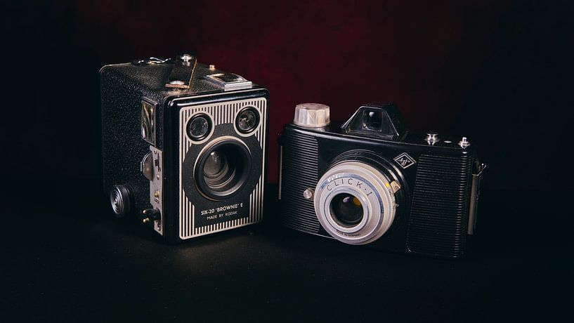 Still life by Wilfried Roovers