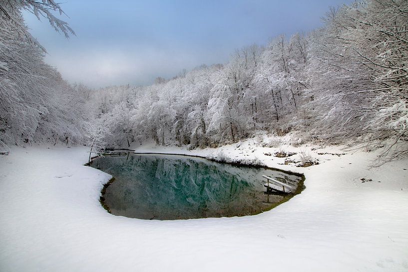 Petit lac bleu par René Pronk