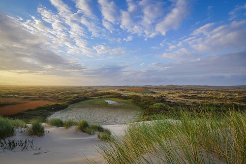 De Boschplaat Terschelling