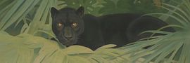 Black Panther in the jungle by Whale & Sons