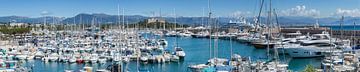 ANTIBES Festung Fort Carre und Hafen Port Vauban | Panorama von Melanie Viola