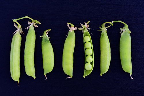Peas and pods side by side in front of a dark background